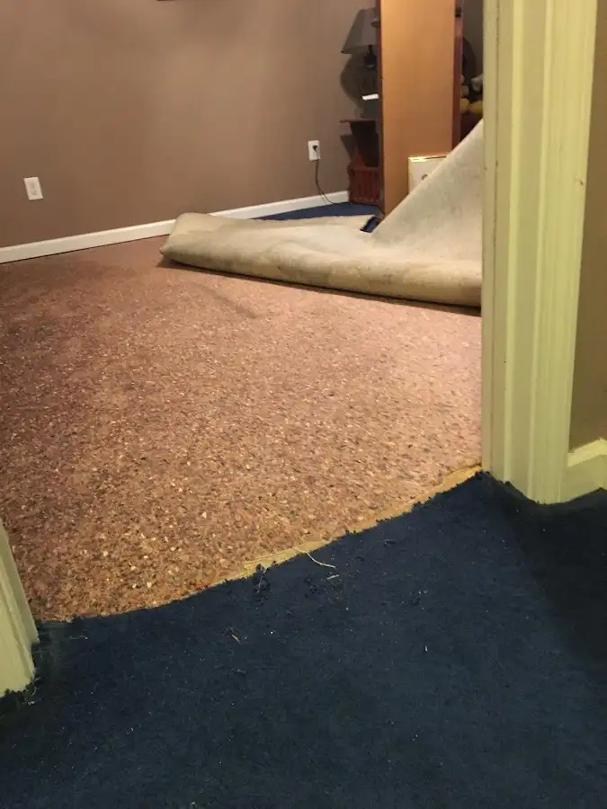 Carpet pad removal revealing water damage during Water Mitigation Services in Meadowbrook