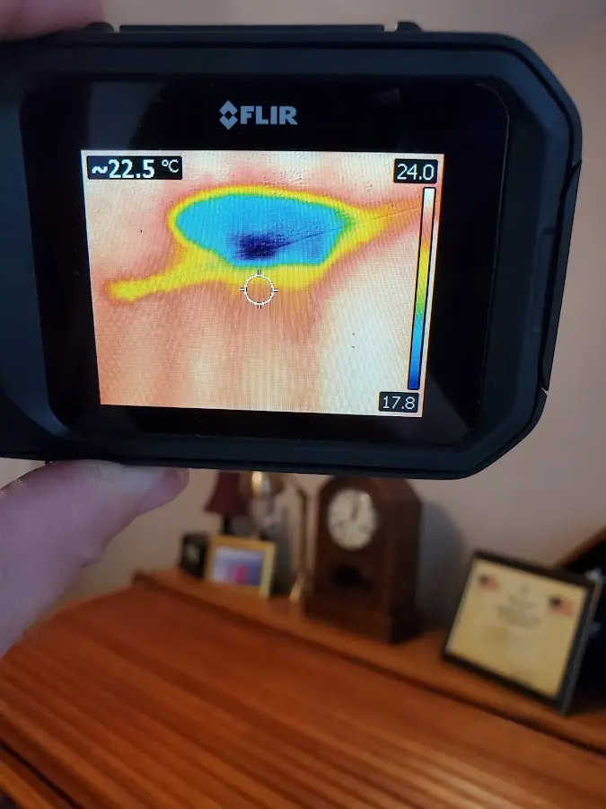 Thermal imaging inspection for water damage in Meadowbrook