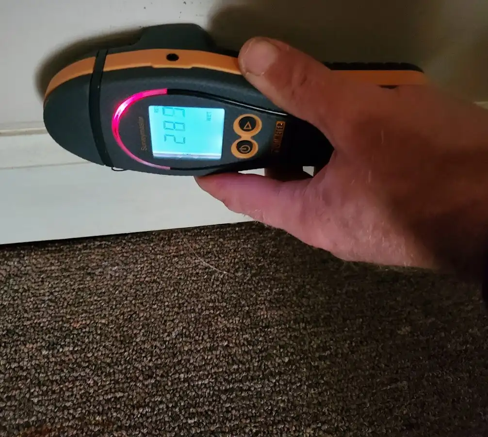 Moisture detection at baseboard during Sewage Cleanup & Sanitation in Meadowbrook
